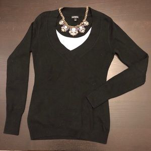 Express V Neck Sweater